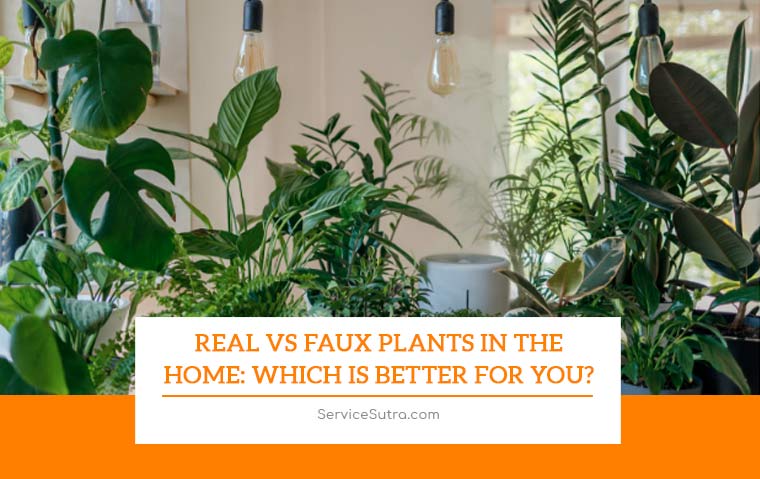 Real vs Faux Plants in the Home: Which is Better for You?