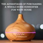 The Advantages of Purchasing a Whole Home Humidifier for Your House