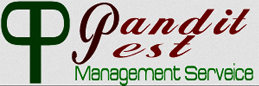 Pandit Pest Management  Services, Jaipur